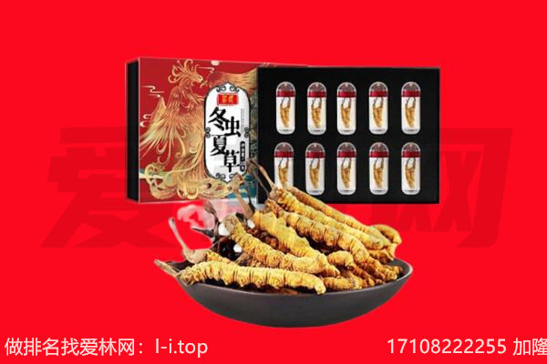 九龙坡区回收虫草.jpg